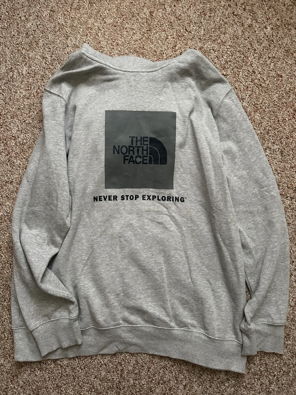 The North Face Light Gray Hoodie with Logo